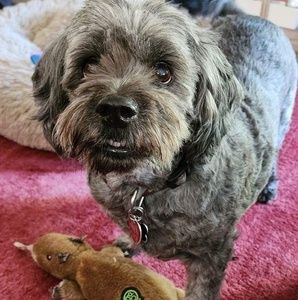 Meet your Posher, Ellen